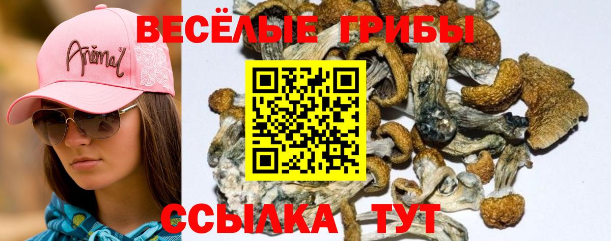 Псилоцибиновые грибы Magic Shrooms  Вход с VPN  Тамбов 