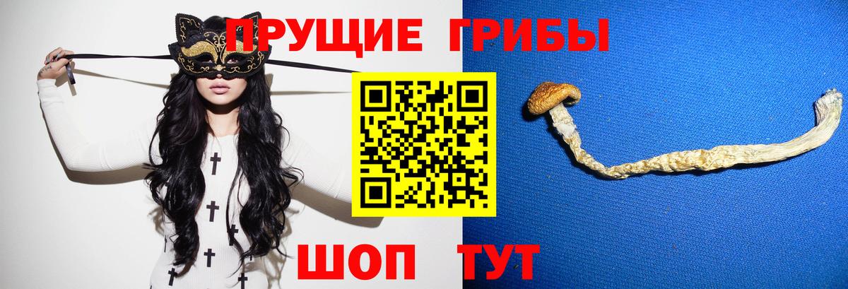 Галлюциногенные грибы Magic Shrooms Тамбов